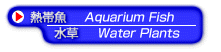 aquam1a