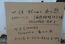 nagumo21103